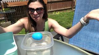 YMCA Virtual Preschool - Sink or Float Concepts with Ms Caitlin
