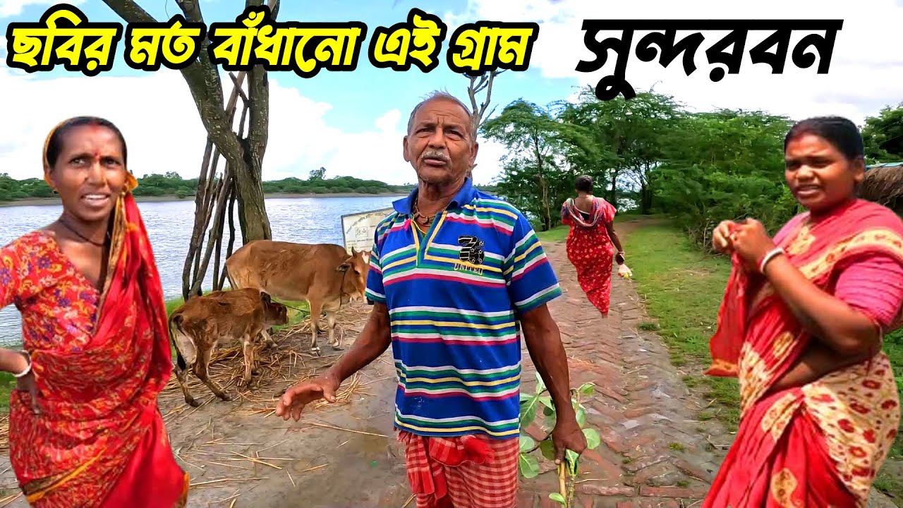 এই গ্রামে সবাই ভয়ে থাকে কখন কার বউ কে নিয়ে পালিয়ে যাবে বোঝাই মুশকিল !! Sundarban । Documentary video