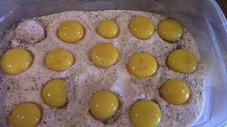 The BEST egg Preservation solution yet! CURED Yolks