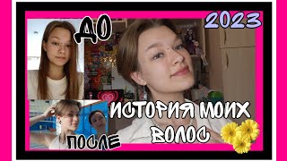 История моих волос.Короткая стрижка.Планирую ли отращивать💇‍♀️