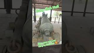 tham quan kinh thành Huế #dulich