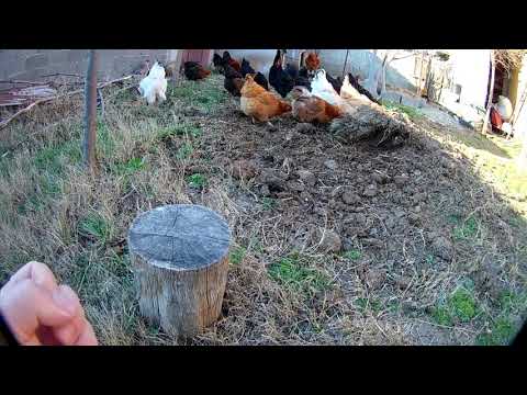 გასაძლიერებელია სოფელი და ამისთვის ყველაფერი უნდა გავაკეთოთ