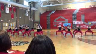 AVHS Dance Team 2014