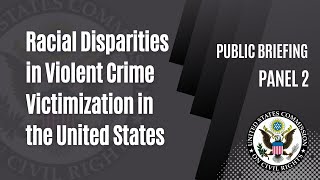 Racial Disparities in Violent Crime Victimization in the United States- Panel 2