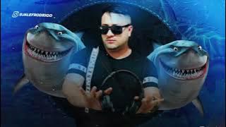 VEM FAZENDO EEEIII, OOOUUU Mc Delux e Mc Vitin Dz7 DJ Roca e DJ Alef Rodrigo