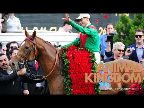 Kentucky Derby Flashback | Animal Kingdom 2011