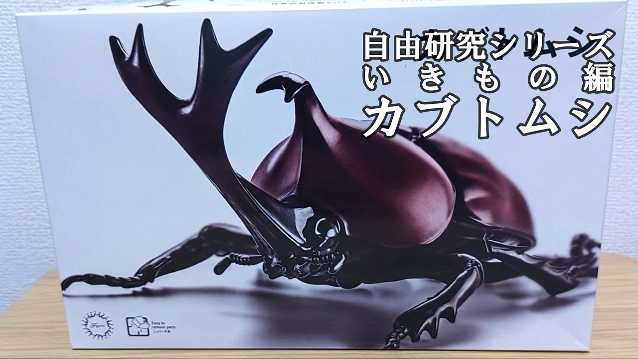 自由研究シリーズ・いきもの編】初心者でも超簡単！！リアルな