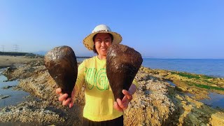 Ying finally found these huge sea shells. And find the sea pearl.