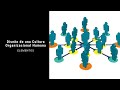 Elementos para un buen Diseño de una Cultura Organizacional Humana ❤👨‍🏫🙋‍♂️