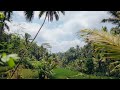 Ref:U5_3f44RQiA Fpv showreel