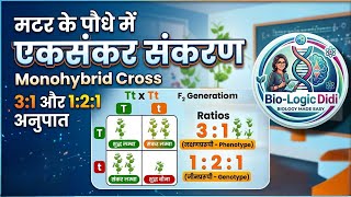 Mendel's Monohybrid Cross in Pea Plant | Heredity (आनुवंशिकता) | Class 10 Life Science Chapter 3
