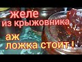 Желе из крыжовника. Как приготовить желе из крыжовника два способа. Желе из крыжовника на зиму.