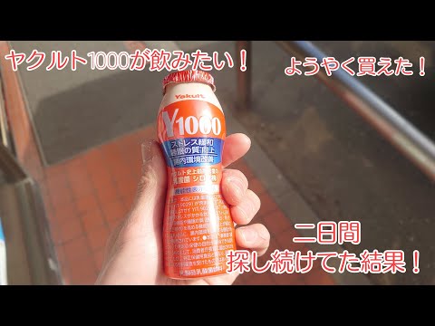 【だんだん復活してきたらしい】ヤクルト1000が飲みたくてあらゆるお店を約2日かけて探し回ってみたら奇跡が！？【あっしー日和チャンネル】#shorts