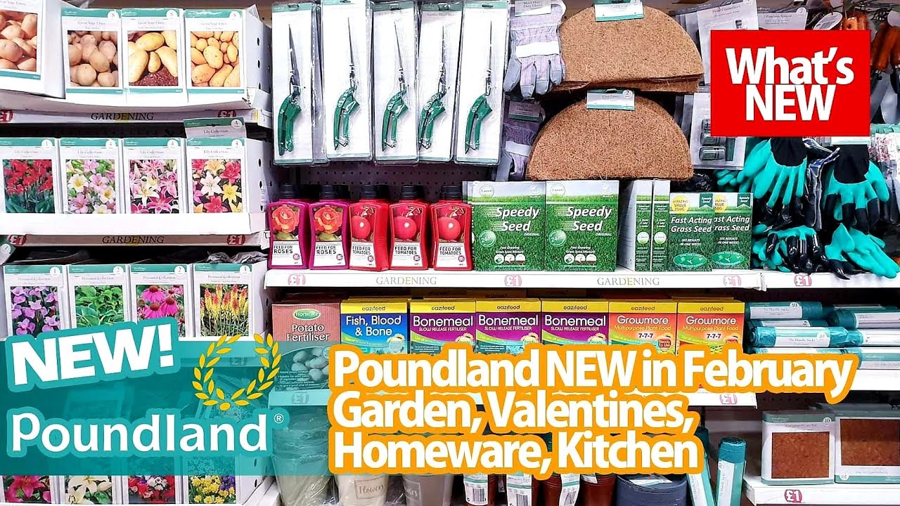 🔴 NEW IN 🔴 POUNDLAND SHOP WITH ME ♡ What's New In poundland February 2020 ♡ Poundland Shopping