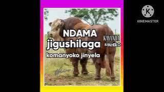 NDAMA JIGUSHILAGA KOMANYOKO  JINYELAMNZILA August 1, 2023