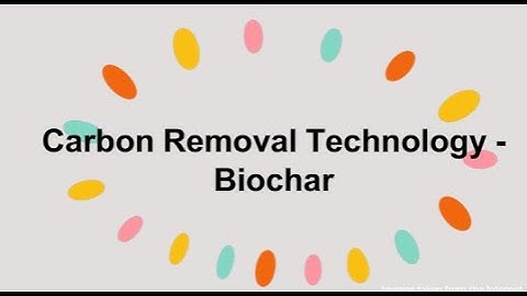 【Carbon Removal Technology】－Biochar Introduction (eng)