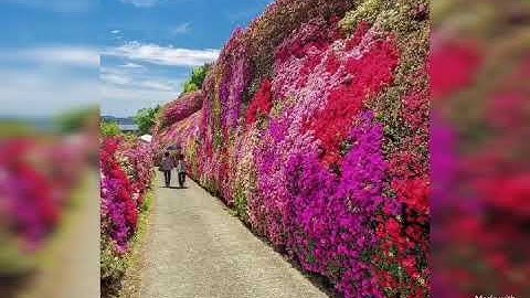 ngày 23 tháng 2, 2020