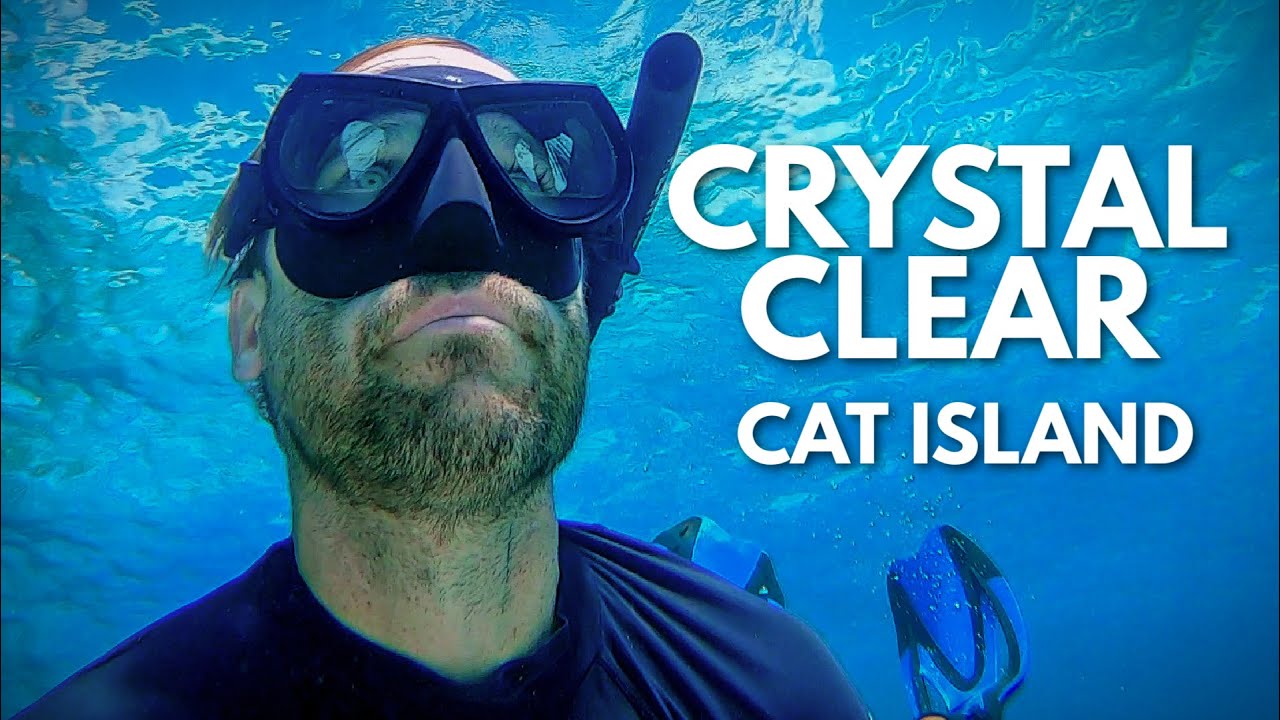 Snorkel WITH US for 6 Minutes in CAT ISLAND Bahamas