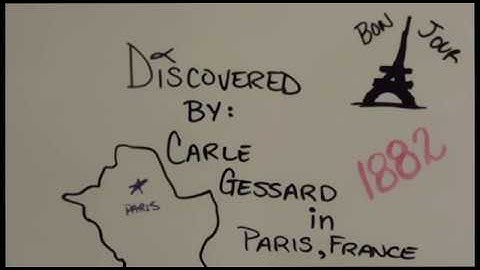 Pseudomonas aeruginosa | RVCC - Microbiology (Summer 2018)