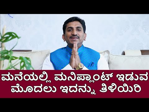 Vastu tips for placing money plant at home | Vijay Karnataka