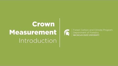 Crown Measurement: Introduction