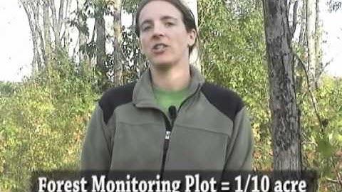 Forest Monitoring 1 - Intro