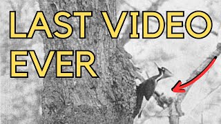 Final Videos of EXTINCT or LOST Species