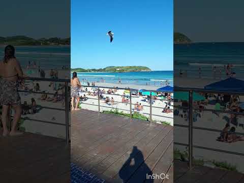 CABO FRIO HOJE #PRAIA DO FORTE #RJ BRASIL 🏖🌊#SHORTS