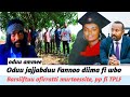 Oduu Jajjabduu Amma Nuqaqqaban Barsiiftuu Ofirratti Murteesste May 14 2026 