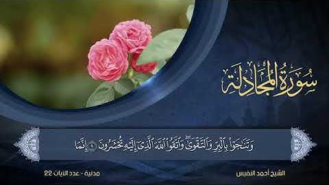سورة المجادلة - أحمد النفيس Surat Al-Mujadila - Ahmed Al-Nafees