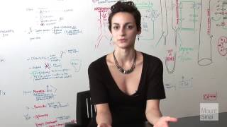 Emma Bedoukian: 1st Year Student in the Genetic Counseling Program at Mount Sinai School of Medicine