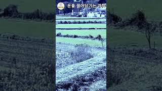 운을 끌어당기는 과학적인 방법