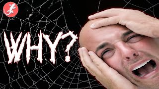 Arachnophobia Why Do People Have It?