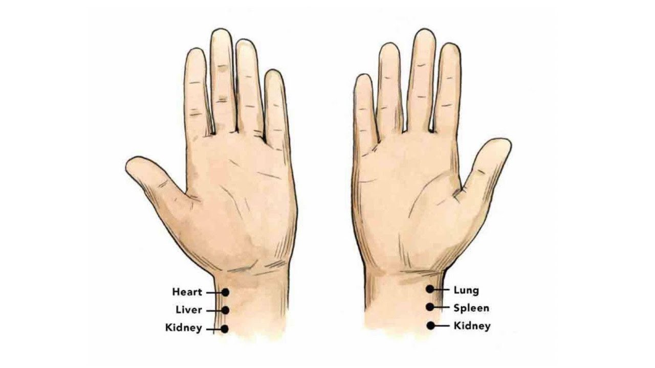 PULSE DIAGNOSIS MADE EASY 02: Three Positions, Nine Pulse-Takings Method