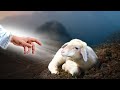 Jesus Christ Destroying All Negative Energy With Delta Waves | Peaceful Music Feeling Soul and Mind