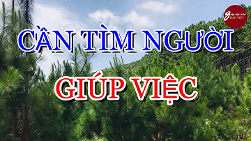 Cần Tìm Người Giúp Việc, Giới Thiệu Việc Làm Miễn Phí Uy Tín | Giúp Việc Nhà Bảo Việt #102
