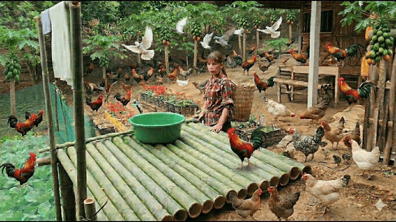 Survival in the jungle of a sterile woman kicked out of her home by her husband