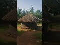 Beautiful African Homestead 🌍🏡 #africa #africandailylife #africankids #africanvillage #dailylife