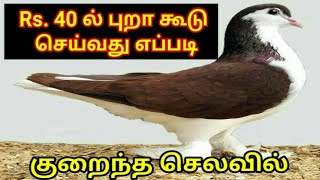 #Pets360 Rs.40ல் புறா கூடு | செய்வது எப்படி | Pigeon Breeding Cage | Only 40 Rupees