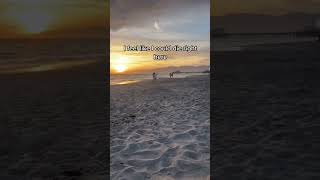 The Softest Launch shorts