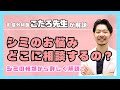 【現役美容外科医が解説✨】シミのお悩みはどこに相談すればいい？シミの種類からそれぞれに合った相談先を詳しく解説！
