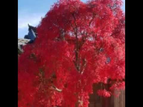 [TJ노래방라운지] 나만의슬픔 - 김돈규