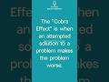 The Cobra Effect.