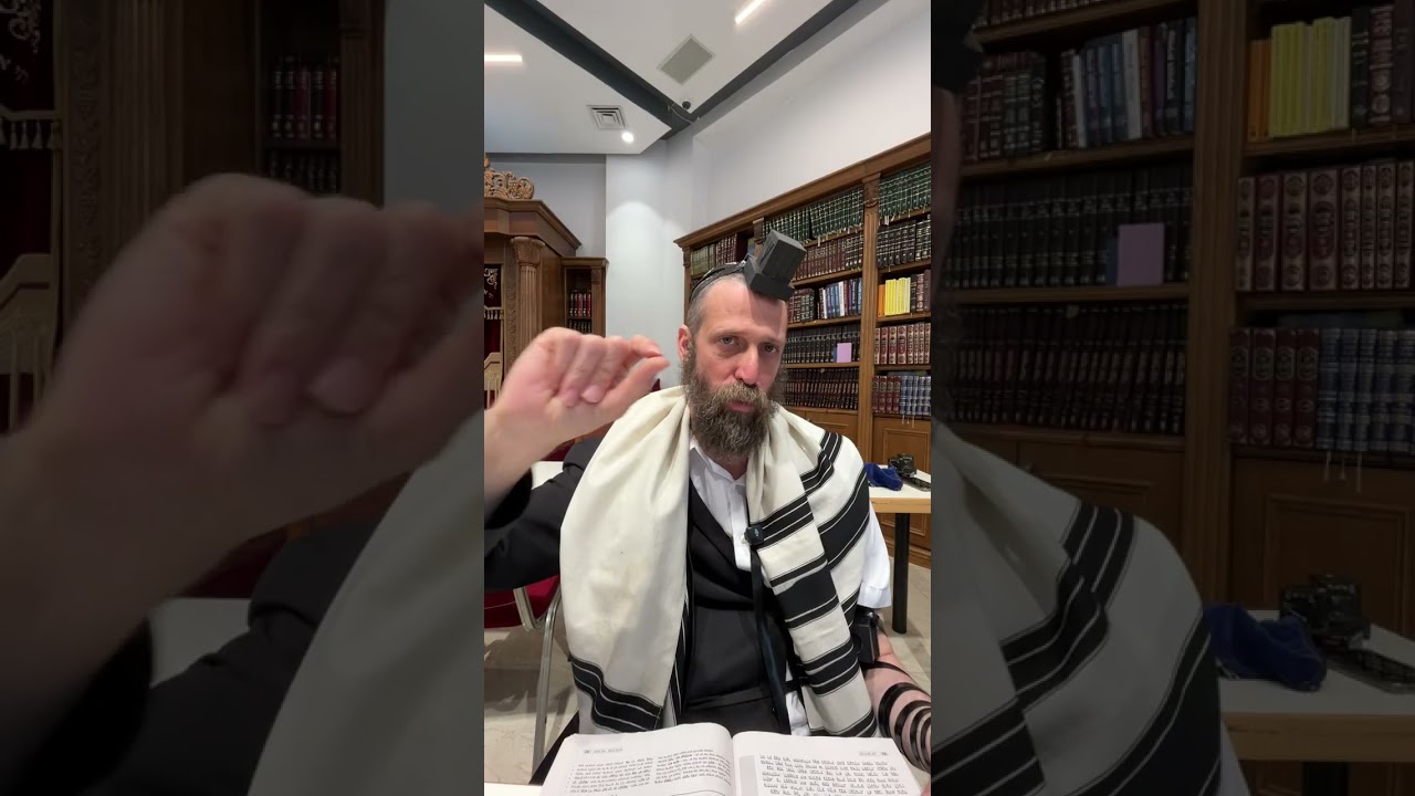 כולם בחכמה עשית – מה זה אומר באמת? | הרב מנחם מיידנצ'יק, כ"ח סיוון | שער היחוד והאמונה פרק ט'