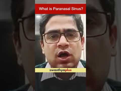 What is Paranasal Sinus? | Dr Akshat Malik | #Shorts