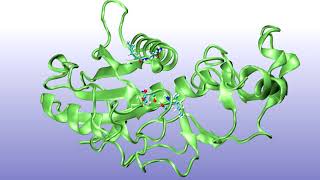 Dipeptide conformational transition captured by metadynamics simulations