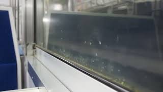 信越本線115系快速列車（長岡から来迎寺まで乗車動画）
