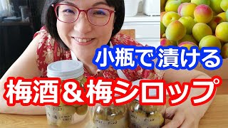 【小瓶で漬ける】梅酒と梅シロップの作り方【使い切り保存が便利な梅仕事・ジップロックでも】料理研究家・栄養士 阪下千恵