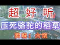 大欢 完整版 压死骆驼的稻草 超好听 广东顺德 清晖园 大欢 完整版 压死骆驼的稻草 超好听 广东顺德 清晖园