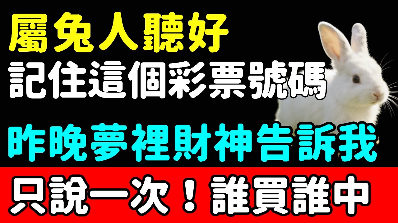 屬兔人聽好：記住這個彩票號碼！昨晚夢裡財神告訴我的，只說一次！誰買誰中！【悟者思維】#生肖 #運勢 #命理 #屬相 #風水 #財運 #佛陀 #佛學 #佛法 #佛教 #修行